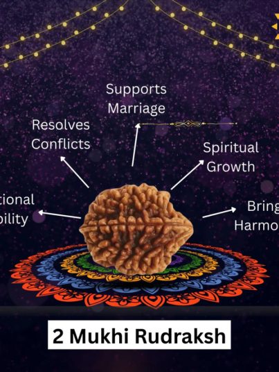 2 Mukhi Rudraksha