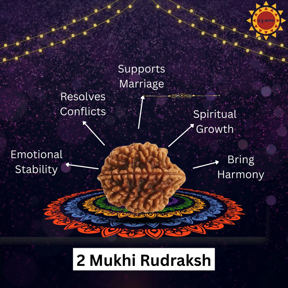 2 Mukhi Rudraksha