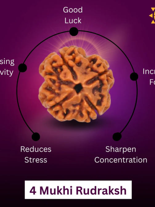 4 Mukhi Rudraksha