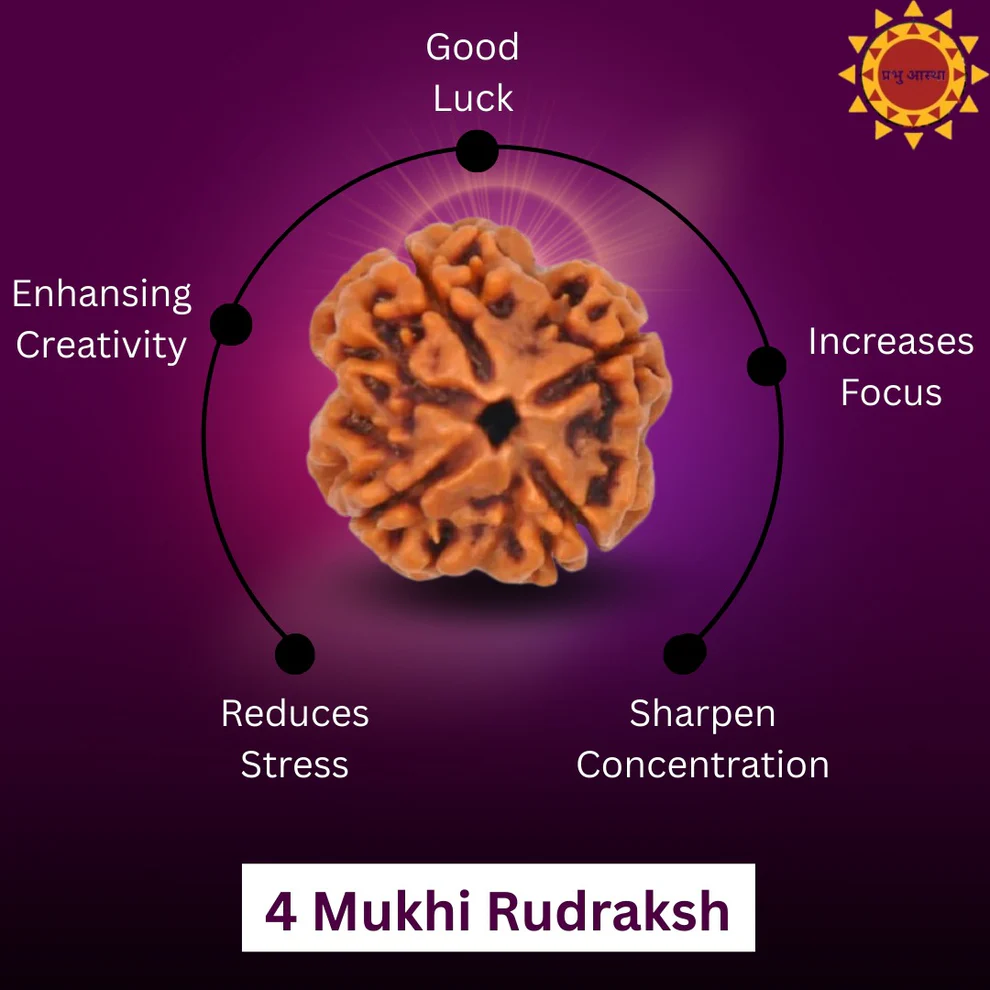 4 Mukhi Rudraksha