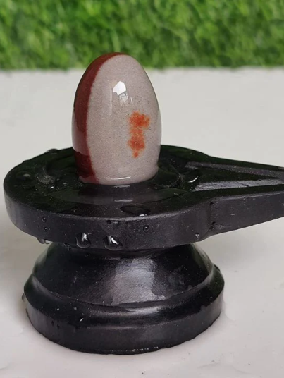Narmadeshwar Shivling