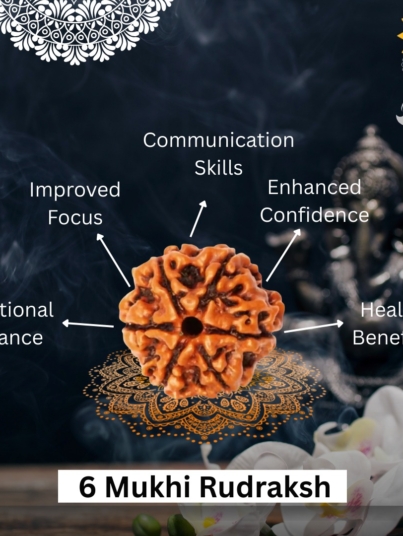6 Mukhi Rudraksha
