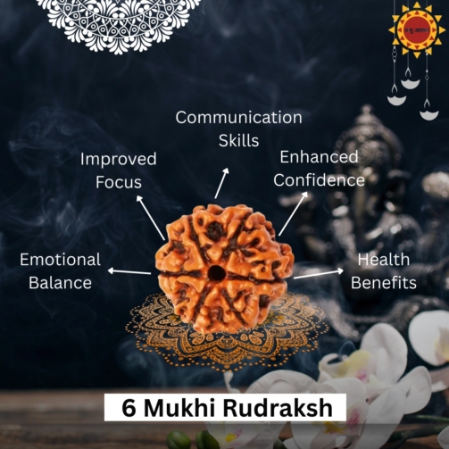6 Mukhi Rudraksha