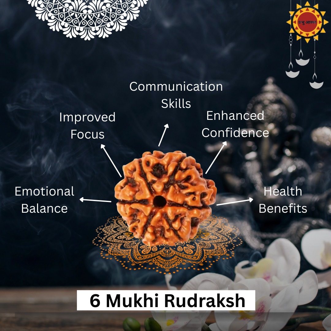 6 Mukhi Rudraksha