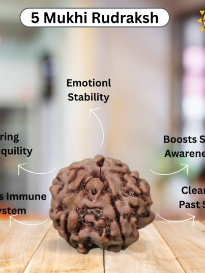 5 Mukhi Rudraksha