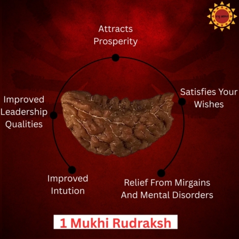 1 Mukhi Rudraksha