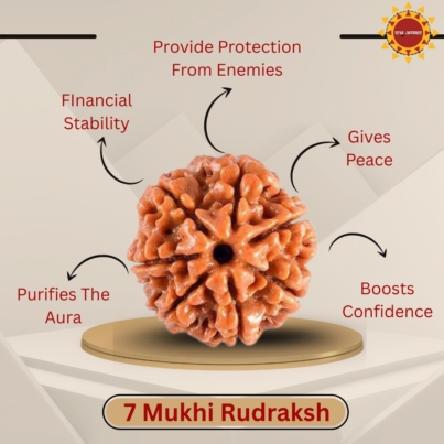7 Mukhi Rudraksha