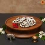 WhatsApp Image 2025-12-18 at 16.33.49 (11)