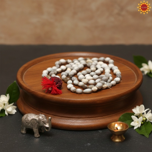 WhatsApp Image 2025-12-18 at 16.33.49 (11)