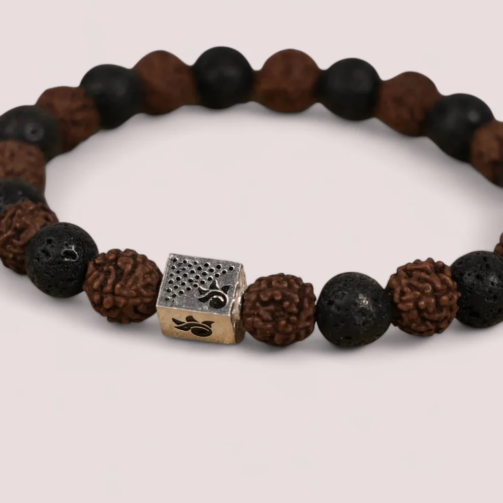 WhatsAppImage2024-12-18at15.52.00