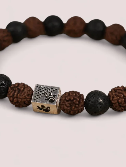 WhatsAppImage2024-12-18at15.52.00