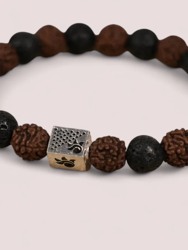 WhatsAppImage2024-12-18at15.52.00