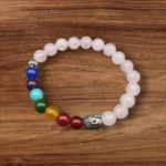 WhatsAppImage2024-12-18at15.52.03 (1)