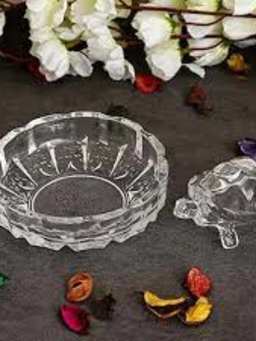 WhatsAppImage2025-04-22at16.49.43